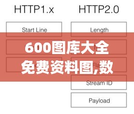 600图库大全免费资料图,数据分析解释定义_NE版5.512