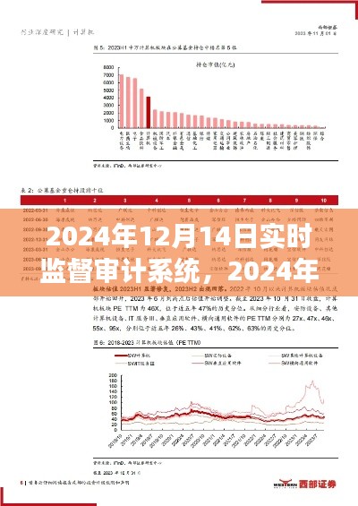 2024年实时监督审计系统效能探讨，价值、前景及展望