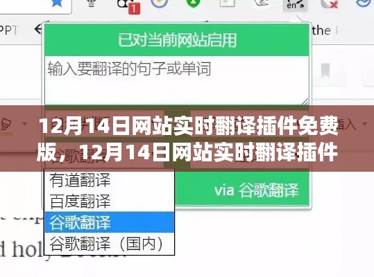 12月14日网站实时翻译插件免费版详解与评测