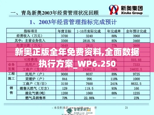 新奥正版全年免费资料,全面数据执行方案_WP6.250