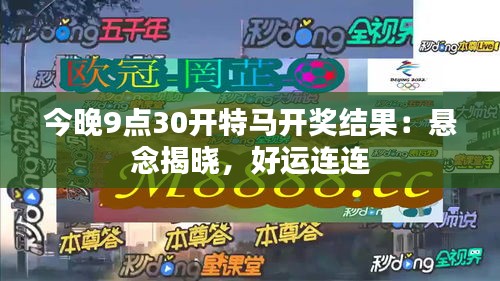 今晚9点30开特马开奖结果：悬念揭晓，好运连连