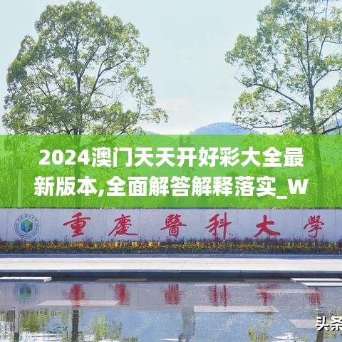 2024澳门天天开好彩大全最新版本,全面解答解释落实_Windows3.631