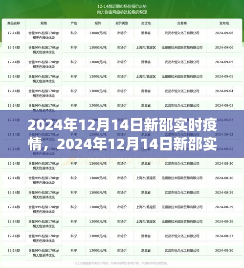 独家解读，2024年12月14日新邵实时疫情全面洞察与解读