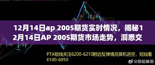 揭秘，AP 2005期货市场走势分析——洞悉交易前沿动态（实时更新）