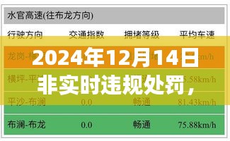 跃变之舞，探寻非实时违规处罚背后的成长力量与跃迁之路