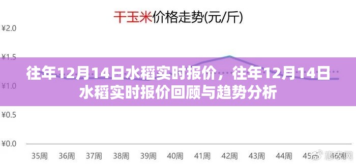 往年12月14日水稻实时报价回顾与趋势预测