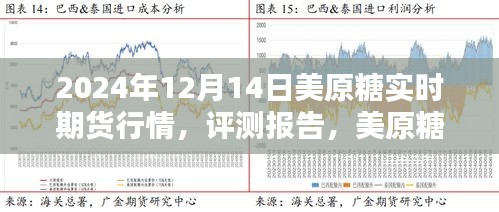 深度解析，2024年12月14日美原糖实时期货行情评测报告