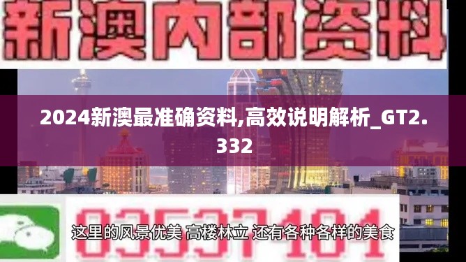 2024新澳最准确资料,高效说明解析_GT2.332