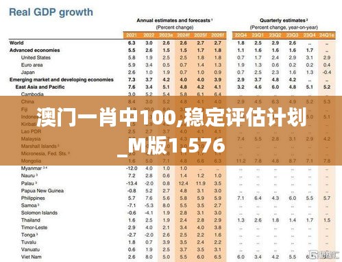 澳门一肖中100,稳定评估计划_M版1.576