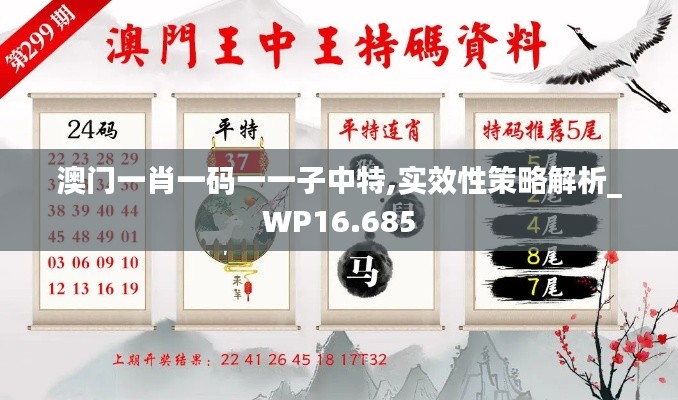 澳门一肖一码一一子中特,实效性策略解析_WP16.685