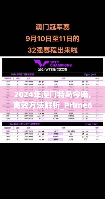 2024年澳门特马今晚,高效方法解析_Prime6.262