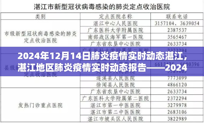 湛江地区肺炎疫情实时动态报告，深度解析至2024年12月14日