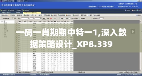 一码一肖期期中特一1,深入数据策略设计_XP8.339