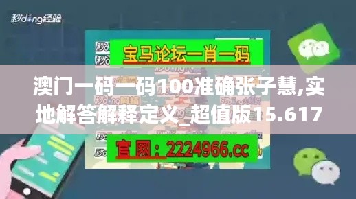 澳门一码一码100准确张子慧,实地解答解释定义_超值版15.617