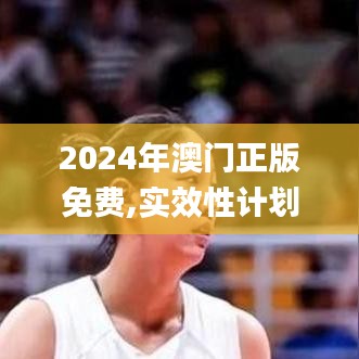 2024年澳门正版免费,实效性计划设计_模拟版9.737