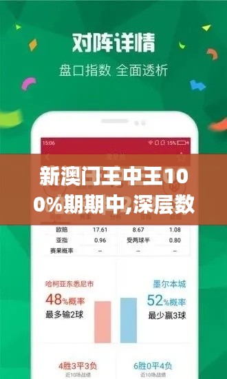 新澳门王中王100%期期中,深层数据执行设计_复古款2.806