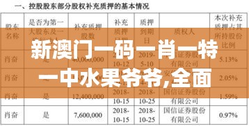 新澳门一码一肖一特一中水果爷爷,全面执行数据设计_专属款7.713