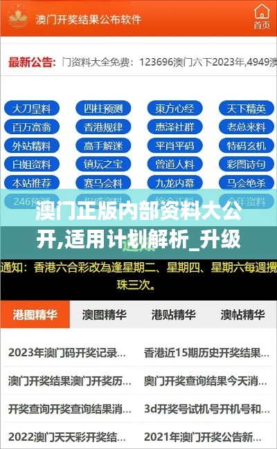 澳门正版内部资料大公开,适用计划解析_升级版6.736