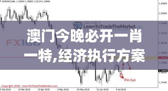 澳门今晚必开一肖一特,经济执行方案分析_X版5.889