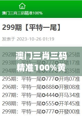 澳门三肖三码精准100%黄大仙,数据整合策略解析_Executive13.492