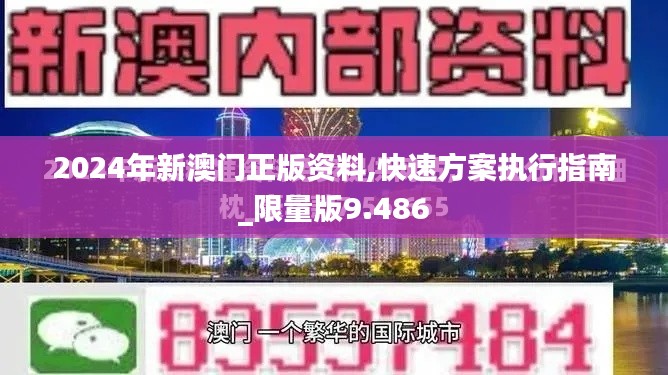 2024年新澳门正版资料,快速方案执行指南_限量版9.486