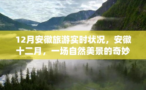 安徽十二月旅游实时状况，自然美景之旅，探寻内心的平和与宁静