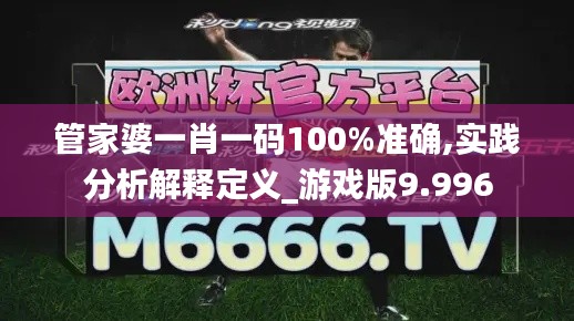 管家婆一肖一码100%准确,实践分析解释定义_游戏版9.996