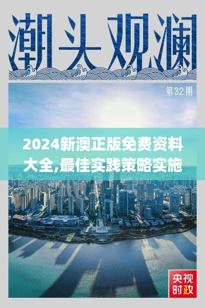 2024新澳正版免费资料大全,最佳实践策略实施_挑战款4.294