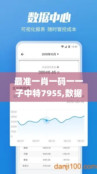 最准一肖一码一一子中特7955,数据设计驱动执行_LT10.604