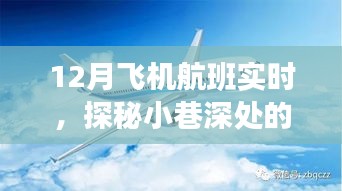 探秘隐藏版航班实时查询小店，揭秘十二月航班情报与小巷深处的奇妙之旅