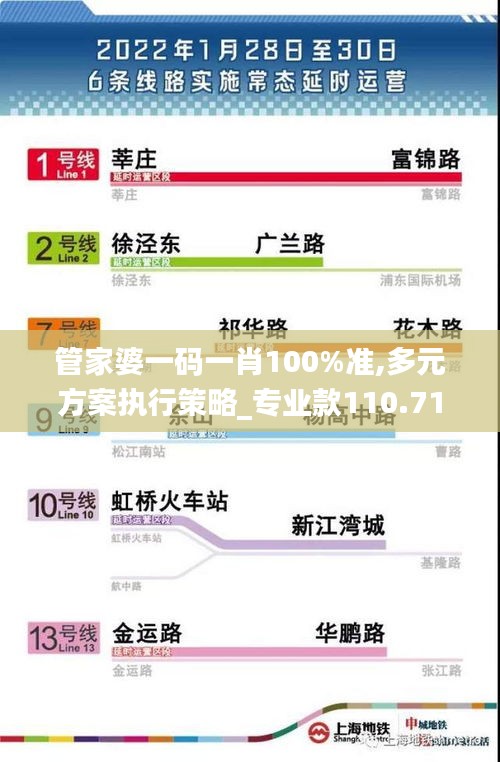 管家婆一码一肖100%准,多元方案执行策略_专业款110.719