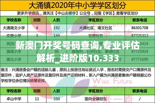 新澳门开奖号码查询,专业评估解析_进阶版10.333