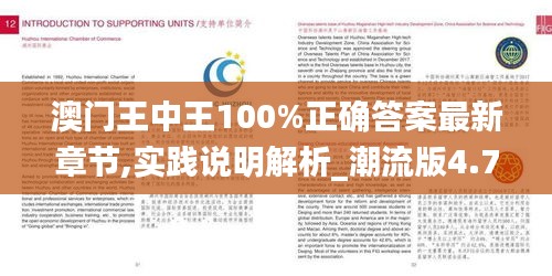 澳门王中王100%正确答案最新章节,实践说明解析_潮流版4.791