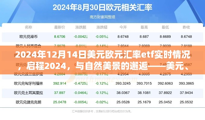 启程2024，美元欧元汇率ETF实时动态与邂逅自然美景的心灵之旅