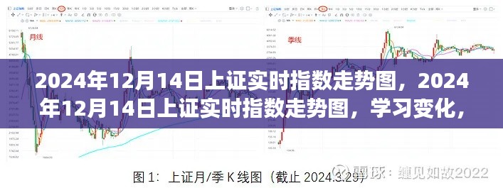 2024年12月14日上证实时指数走势图，学习变化，开启自信与成就之旅