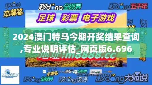 2024澳门特马今期开奖结果查询,专业说明评估_网页版6.696