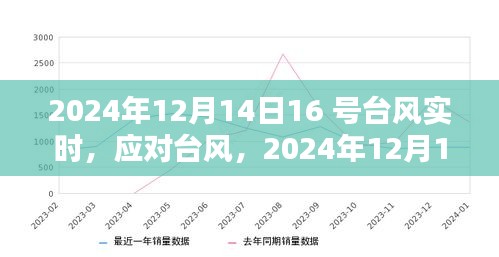 台风实时更新，关于台风防御指南，初学者与进阶用户必备指南（2024年）