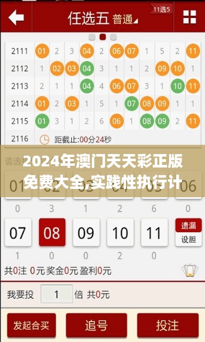 2024年澳门天天彩正版免费大全,实践性执行计划_MP10.246