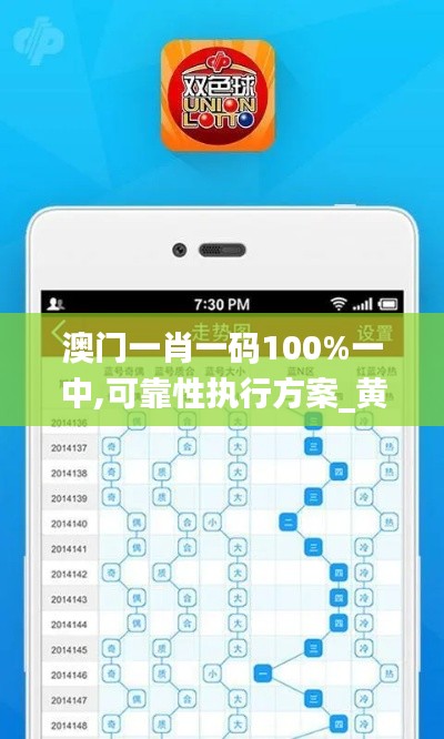 澳门一肖一码100%一中,可靠性执行方案_黄金版11.452