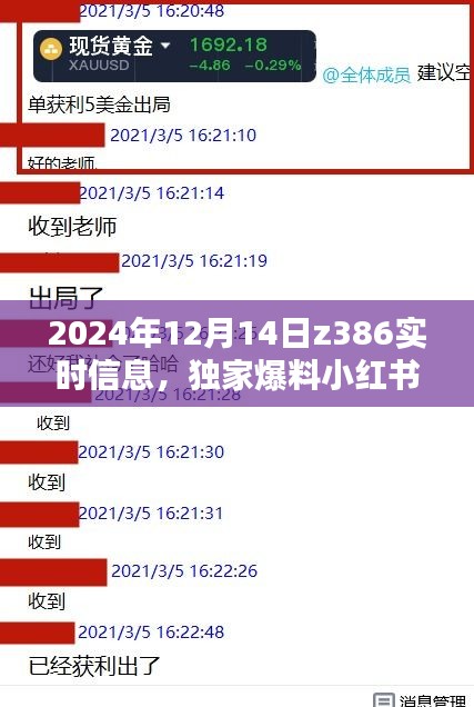 独家爆料，小红书带你直击Z386列车实时信息全解析（2024年12月14日版）