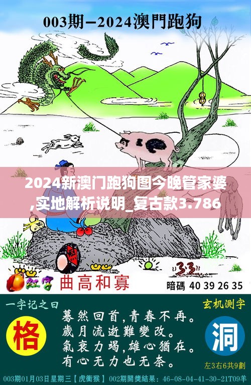 2024新澳门跑狗图今晚管家婆,实地解析说明_复古款3.786