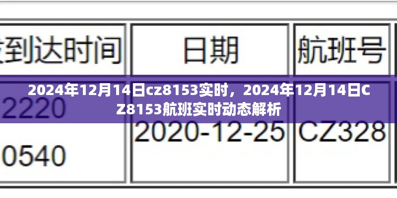 独家解析，CZ8153航班在2024年12月14日的实时动态