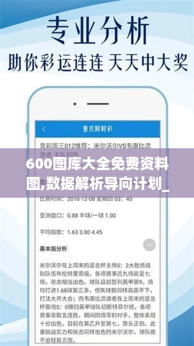 600图库大全免费资料图,数据解析导向计划_LT1.376