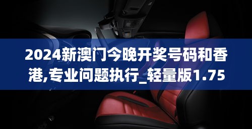 2024新澳门今晚开奖号码和香港,专业问题执行_轻量版1.753