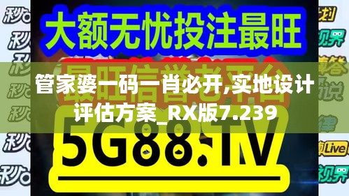 管家婆一码一肖必开,实地设计评估方案_RX版7.239