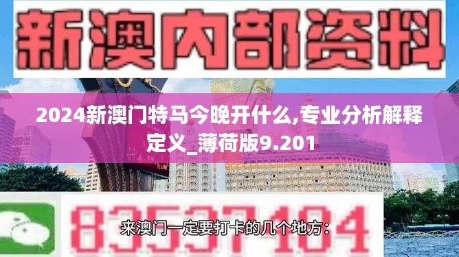 2024新澳门特马今晚开什么,专业分析解释定义_薄荷版9.201