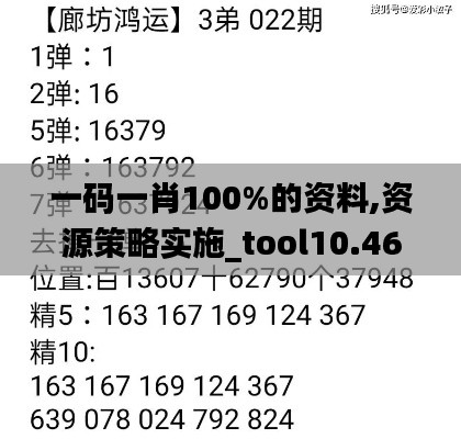 一码一肖100%的资料,资源策略实施_tool10.464