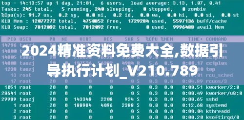 2024精准资料免费大全,数据引导执行计划_V210.789