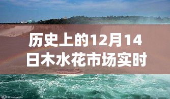 穿越时空的繁华，木水花市场12月14日的历史实录