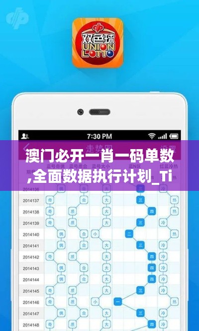 澳门必开一肖一码单数,全面数据执行计划_Tizen3.547